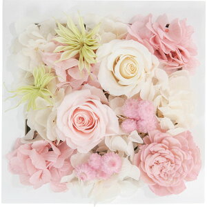 vU[uhEH[t[(XNGA) sN qncr-wallpri02-pir vU[uht[