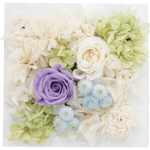 vU[uhEH[t[(XNGA) p[v qncr-wallpri02-pur vU[uht[