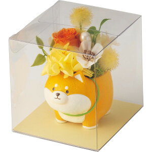 Aj}vU(vU[uht[) Č vU[uht[