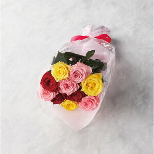 [J[ ỏԑ 10{15{܂ł̂\ ~bNX q19MX10-15r ԑE؉