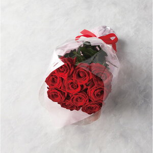 [J[ ỏԑ 10{15{܂ł̂\ bh q19RD10]15r ԑE؉