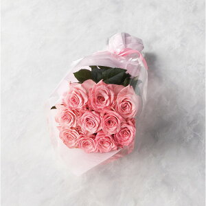 [J[ ỏԑ 16{20{܂ł̂\ sN q19PK16-20r ԑE؉