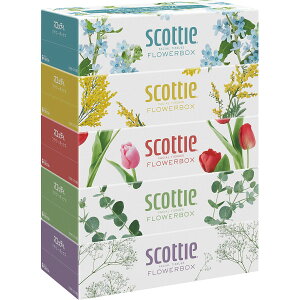 XRbeB eBV[ t[{bNX 250g(5pbN) q41342r ̑i CxgObY ei ii LOi LO LO