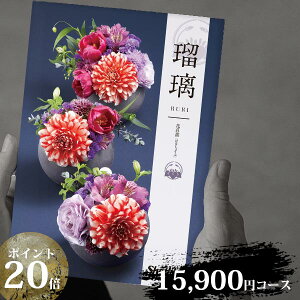 |Cg20{ VfB J^OMtg AY[CN aEa\ ڗ 15000~R[X ({̉i+VXe{Ł17380~) ԏҊ i͂Ȃ傤ԁj qAEOr j oYj 