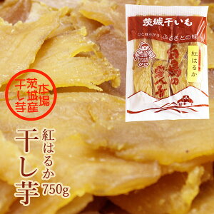 yVLO܁I  g͂邩 750g×1 { 錧Y Y  Y ق wV[XC[c Mtg ϔ 