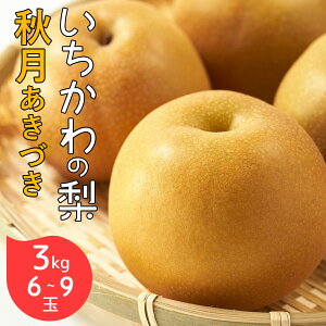 ̗  H Â 3kg 6`9 tY s Ȃ { ʕ ʎ t[c O Mtg v[g i p ~  a
