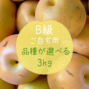\̔  󂠂 tY ̗ B p 3kg K L H s Ȃ { ʕ ʎ t[c O ~  a