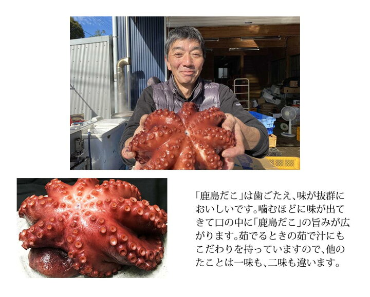最大96 オフ 瀬戸内産 真鮹 マダコ 使用 足4本 ゆでだこ たこ まだこ ボイル ゆうなぎ直送 送料無料 Champagne Dissaux Brochot Com