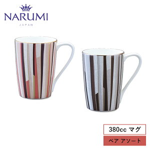 NARUMI(i~) VO[ }OJbv(A\[g) 380cc q97195-21746r H }OJbv R[q[ g  ubN IW  zCg    _