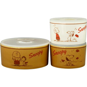 y݌Ɍz W3_Zbg Xk[s[ SNOOPY g qSN920-82-3r H Zbg ۑe We