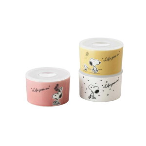 トリオ レンジセット スヌーピー シーズン 〈SN610-82-S3〉 山加商店 食器 レンジパック