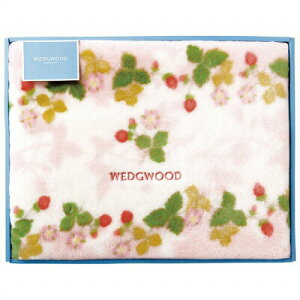 EFbWEbh ChXgx[ ANj[}C[ѕziщHj sN qFQ88100051-100r  ѕz zc ϔ Mtg j Ԃ v[g