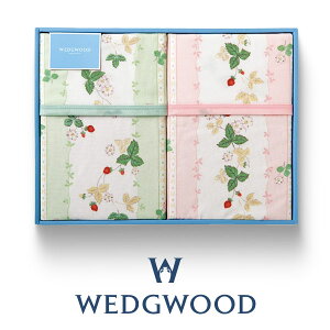 EFbWEbh Ȗѕz2Zbg(щHj ChXgx[ sNO[ WW8610 qFQ82121013970rj j  oY Vz Cj o TԂ @v LOi