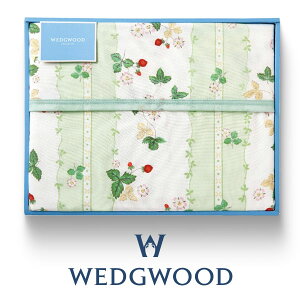 yVLO܁I EFbWEbh ȖѕziщHj ChXgx[ O[ WW8610 qFQ82601011500rj j  oY Vz Cj o TԂ @v LOi