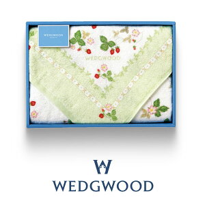 o ݌Ɍ EFbWEbh oX^I1 O[ ChXgx[ WW8610 qTT88300611G1r uh^I Mtg Zbg