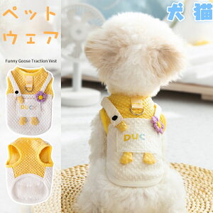 ���L�� �y�b�g�E�F�A �t�ėp ���^�� ���U�� T�V���c �|�P�b�g�t�� �L���~�\�[�� �A�q���� �K�`���E�� ������ �y�b�g�� �L�p ���p �y�b�g�p�i ���[�h�t���\�@���� ���킢�� �t�� �ĕ� ���^