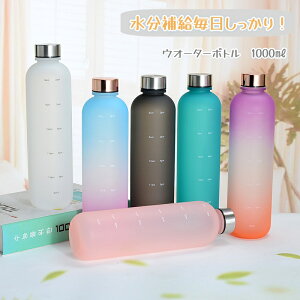 y EH[^[{g  1000ml ^C}[J[t  vX`bN@XeXW jp gѕ֗ Rh~ q e  ̎q  킢@W@X|[c@