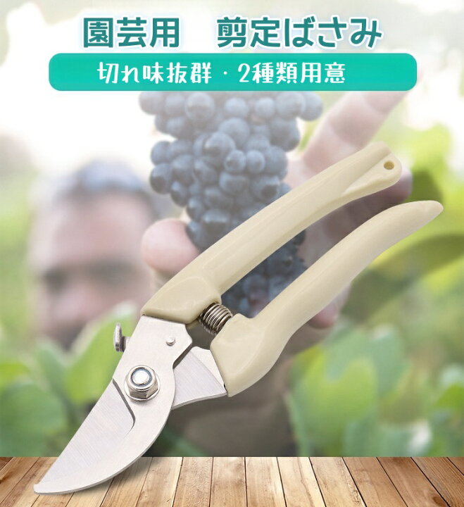 楽天市場】剪定ばさみ 園芸用ハサミ 枝切りはさみ 小型 軽量 