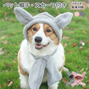 ybgpXq XJ[tt h΍ gybgXq wbhJo[ LphXq ~phXq ybg̃wbhMA ybgLbv ~p̌Xq LXq ^^p Lp