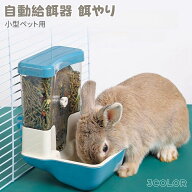 自動給餌器 猫 犬 調節可能な出口 自動餌やり ハンギングケージタイプ 両面設置 大容量0.8L 給餌器 ケー…