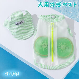 pN[xXg  ⊴xXg Ђ ۗ ^ ^ ^ hbOEFA pR[g pĕ ʋC   MǑ΍ EȒP o U ybgpi