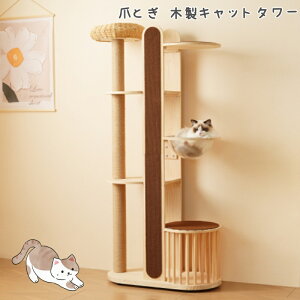 Lbg^[ L^[ Lbgc[ X 173.5cm u lR^[ 艺肵₷ ܂Ƃ|[ ؐ  qL ^L ybgpi 