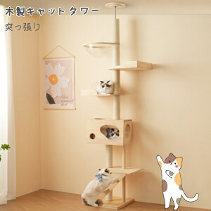 Lbg^[ L^[ Lbgc[ X ˂ 260cm ؓo^[ lR^[ FDt 艺肵₷ ܂Ƃ|[ ؐ  qL ^L }bgt ybgpi 