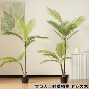 ϗtA tFCN V̖ tFCNO[ lHϗtA ^ 150cm 180cmh  ze CeA A  j   
