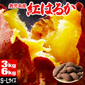 さつまいも 紅はるか 訳ありじゃない 鹿児島 産地 直送 生芋 SMLサイズ 3kg /6kg べにはるか 送料無料 美味しい さつま芋 生 サツマイモ 土付き 生いも ギフト お取り寄せ 甘い 蜜芋 焼き芋 に