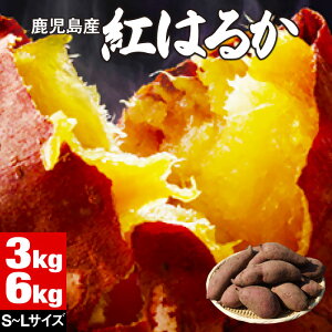 y|Cg2{z ܂ g͂邩  Yn   SMLTCY 3kg /6kg ׂɂ͂邩   ܈  Tc}C yt  Mtg  Â  Ă 