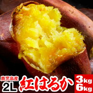 【ポイント2倍】 さつまいも 紅はるか 訳ありじゃない 鹿児島 産地 直送 生芋 2L 3kg/6kg べにはるか 送…