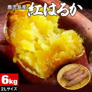 y|Cg2{z ܂ g͂邩  Yn   2L 3kg/6kg ׂɂ͂邩   ܈  Tc}C yt   Mtg  Â  Ă  10/10