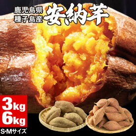 さつまいも 安納芋 種子島産 生芋 3kg/6kg 選べるサイズ M/S 送料無料 鹿児島 安納 芋 生 サツマイモ 土付き さつま芋 生いも お取り寄せ 焼き芋 に