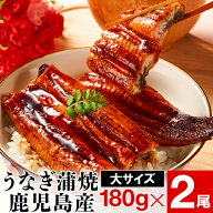 【P2倍】 お中元 うなぎ 国産 ギフト 鹿児島 大隅産 鰻 180g 2尾 国産うなぎ 無頭 蒲焼き 送料無料 土用…