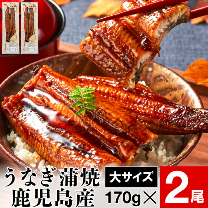 楽天市場 ポイント2倍 うなぎ 鰻 最短当日出荷 うなぎの蒲焼 国産 鹿児島 産 大サイズ 170g 2尾 蒲焼き 国産ウナギ セット 鰻の蒲焼 国産鰻 うなぎ蒲焼き 美味しい 送料無料 国産うなぎ 冷凍 うなぎ蒲焼 ギフト 食べ物 食品 グルメ 内祝い 情熱畑 楽天市場店