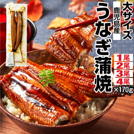 うなぎ 【ポイント2倍 最短当日出荷】 国産 鰻 170g 1尾/2尾/3尾/4尾 蒲焼き 母の日 父の日 ギフト 大サイズ 鹿児島 ウナギ 送料無料 プレゼント 取り寄せ うなぎ蒲焼き 冷凍 unagi 国産うなぎ 蒲焼 土用の丑の日