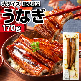 【ポイント3倍】 父の日 うなぎ まだ間に合う 国産 ギフト 1尾/2尾/3尾/4尾 鹿児島 大隅産 鰻 170g ウナギ 蒲焼き お中元 unagi 送料無料 誕生日 プレゼント うなぎ蒲焼き 冷凍 産地直送 御中元 土用の丑の日 内祝い
