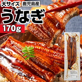 【P3倍】 お中元 うなぎ 国産 ギフト 鹿児島 大隅産 鰻 170g 1尾/2尾/3尾/4尾 国産うなぎ 無頭 蒲焼き 送料無料 敬老の日 2026 ウナギ お取り寄せ たれ 山椒 付き うなぎ蒲焼 冷凍 unagi ご褒美 うなぎギフト