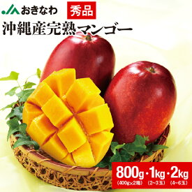 マンゴー 沖縄 秀品 ギフト 1kg 2kg 800g JAおきなわ 完熟マンゴー お中元 フルーツ 送料無料 贈答用 まんごー 国産 mango アップルマンゴー 旬の果物 プレゼント 贈り物 お取り寄せ 7月下旬以降順次出荷