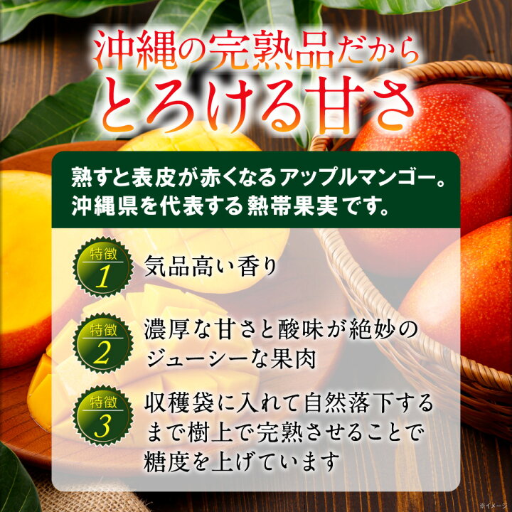 楽天市場】マンゴー 沖縄 家庭用 JAおきなわ 訳あり 完熟マンゴー 2kg 