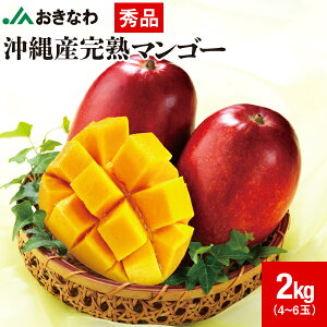 �y�|�C���g2�{�z �}���S�[ ���� �G�i �M�t�g 1kg 2kg 800g JA�����Ȃ� ���n�}���S�[ ������ �t���[�c �������� �����p �܂񂲁[ ���Y mango �A�b�v���}���S�[ �{�̉ʕ� �v���[���g ���蕨 ������