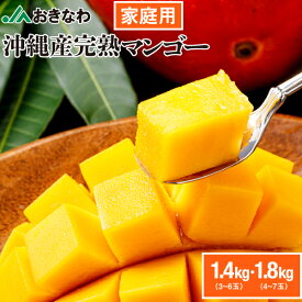 マンゴー 沖縄 家庭用 JAおきなわ 訳あり 完熟マンゴー1.4kg 1.8kg アップルマンゴー 送料無料 訳アリ まんごー 国産 完熟 mango 旬の果物 フルーツ お取り寄せ 7月下旬以降順次出荷