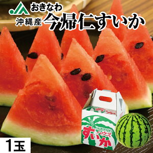 XCJ JAȂ Y Am Ȃ 1 2.5kg Gi   suika Mtg j ~  t[c XC[c Â Z ʕ  p Am Yn   ŒZ12/11o