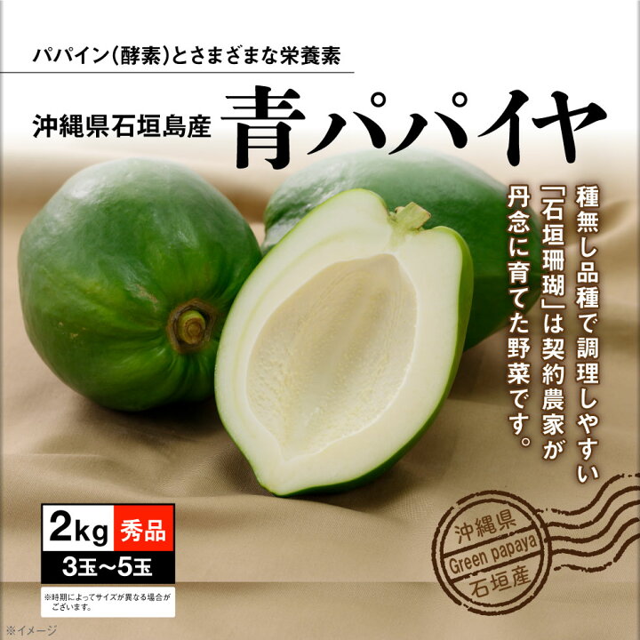 楽天市場 ポイント2倍 パパイヤ 青パパイヤ 種なし 石垣島産 2kg 3 5玉 送料無料 沖縄産石垣珊瑚 野菜 国産 ギフト 情熱畑 楽天市場店