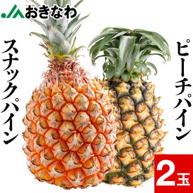 【ポイント2倍】 パイナップル 沖縄 ピーチパイン スナックパイン JAおきなわ Lサイズ 選べる2玉 セット 送料無料 パイン 食べ比べ 旬の果物 沖縄産 石垣島 フルーツ 果物 ギフト プレゼント 4月中旬以降準備出来次第出荷