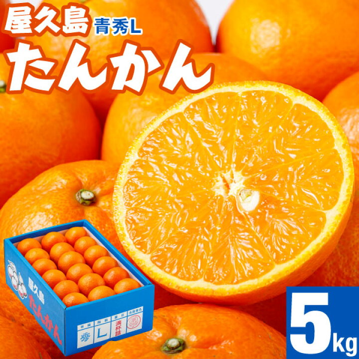 楽天市場】【今年も完売御礼】 たんかん 屋久島 産 5kg 青秀 Lサイズ 