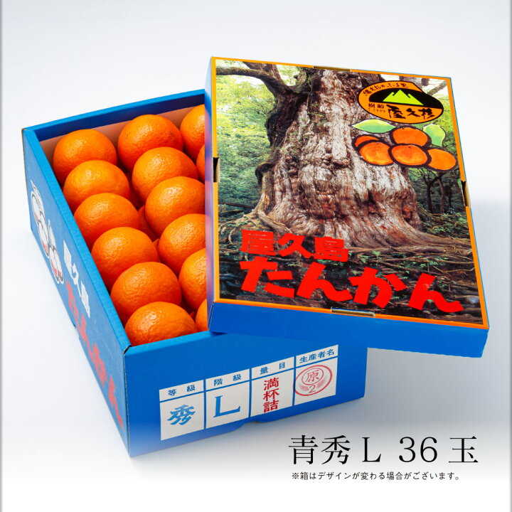 楽天市場】【今年も完売御礼】 たんかん 屋久島 産 5kg 青秀 Lサイズ 