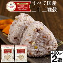 ＼ポイント2倍 グルメ大賞2023受賞／ 雑穀米 雑穀 すべて 国産 二十二雑穀 920g 送料無料 460g入 2袋 国産雑穀米 健康…