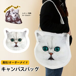 yL[z_[zV_[obO g[gobO ʐ^ IWiobO | ٌ` Ƀo O  ʐ^v Ж/ʎdl GRobO UobO ybg  L q