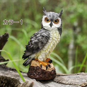 yyVX[p[Z[ztNE 悯 悯 ΍ {  hhb΍ JX΍ h 悯ObY u I[ig fBXvC K[fjO  K[f x